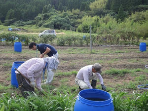 DSC08932.jpg