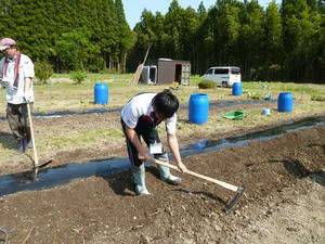 P1100855.jpg