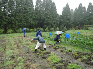 DSC00823.jpg