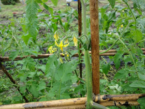 DSC00826.jpg