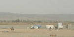 blog_Jeddah_camel_20110728_006.JPG
