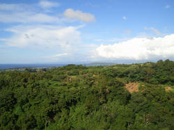 CIMG0056.JPG