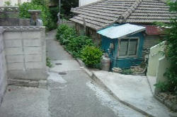 DSCF7169.JPG