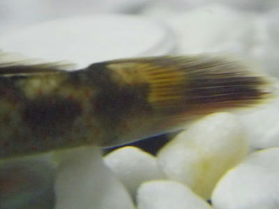s-IMGP2372.jpg