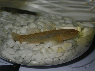 s-IMGP2400.jpg