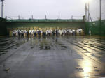 2012meizi6.jpg
