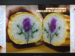 20110103yokotefutomaki04.JPG