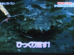 20110202suppon03.JPG