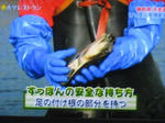 20110202suppon04.JPG