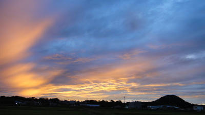 051cf016.jpg