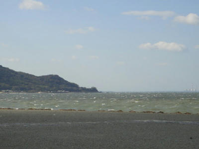 b1f6d9d9.jpg