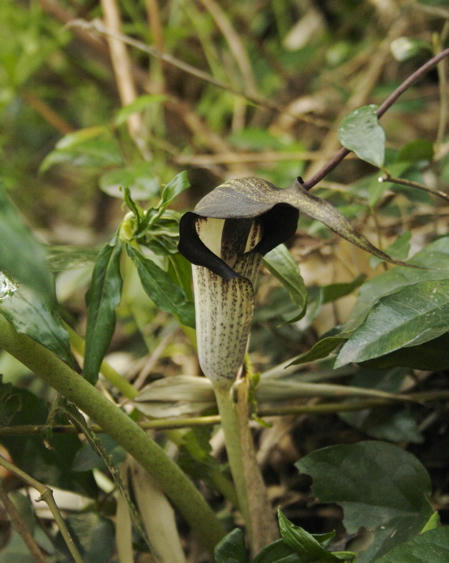 c95d3607.jpg