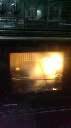 F1010331.JPG
