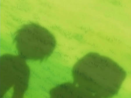snapshot20071222011516.jpg