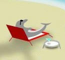 dolphin003.jpg