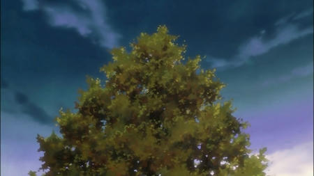 snapshot20100117202106.jpg