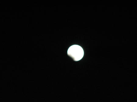 IMG_4357.jpg