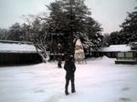 jingu_00.jpg