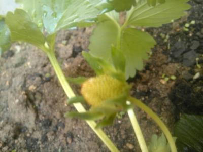 SH3F0447_convert_20120406214655.jpg