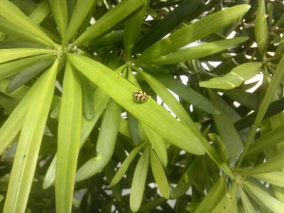 SH3F0509_convert_20120423134825.jpg