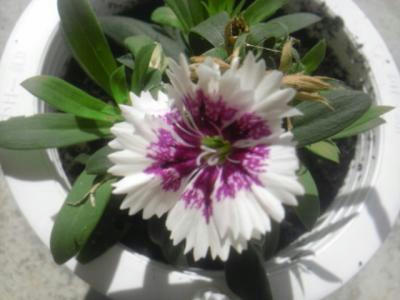 SH3F0588_convert_20120425102831.jpg