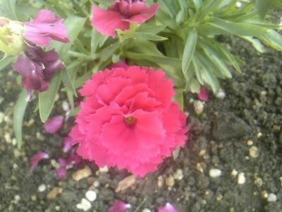 SH3F0879_convert_20120605130312.jpg