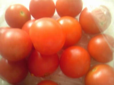 SH3F0911_convert_20120620095458.jpg