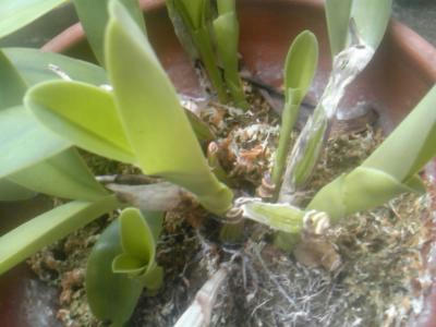 SH3F1017_convert_20120707105206.jpg