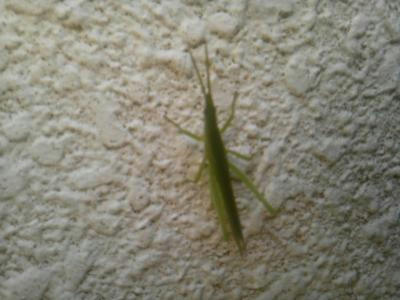 SH3F0999_convert_20120714102250.jpg