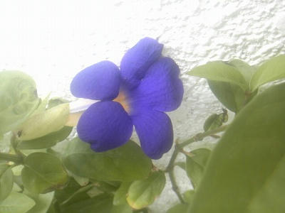 s-SH3F1181.jpg