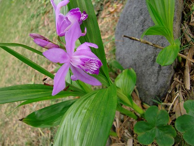 s-CIMG6302.jpg