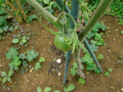 s-CIMG6573.jpg