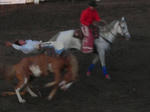 DSCN2246.jpg