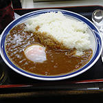 吉野家カレー