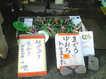 塩釜市越の浦　水産直売所