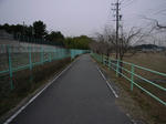 トヨタ自動車本社北側の崖線を行く自転車道。実は次の写真の反対側