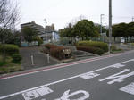 その横ちょがこんな公園。枝下緑道公園