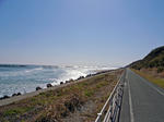 やっと出た自転車道。ここの近辺の海岸はサーファーがすずなりでした