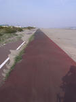 砂浜横の自転車道の宿命がこれ。じつは自転車道は正しくはカラー舗装の左側のアスファルトです。埋もれてますね。そしてよく見ると分かるとおり、風に吹かれて砂が飛んできてます。道の上のもやは全部砂。これでも御前崎とかより相当ましですっけが
