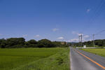 田圃の緑と空の蒼。いいですな。