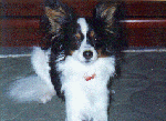 marinphoto2.gif