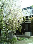 Image005.jpg