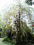 Image012.jpg