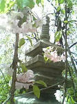 Image014.jpg