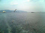 08102136.jpg