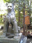 Image225.jpg