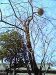 2009.01.14-04.jpg
