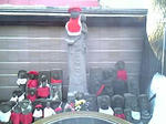 20090125-10.jpg