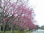 2009.03.13-1.jpg