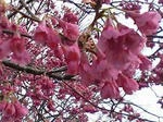 2009.03.13-2.jpg